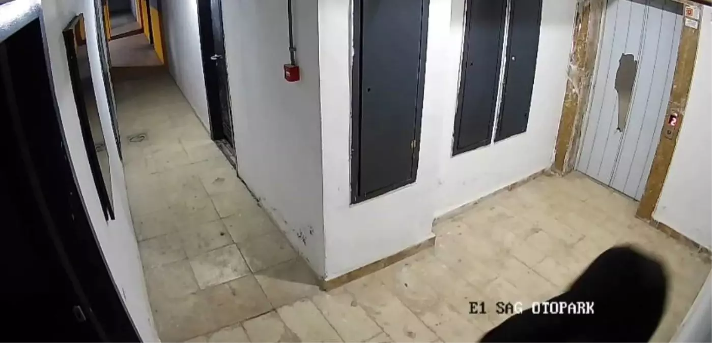 Elazığ'da güvenlik kameralarına zarar veren şahıs kameraya yakalandı