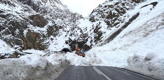 Hakkari-Van kara yolunda farklı noktalara düşen çığ temizlendi