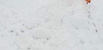 Muş-Kulp kara yolunda yol açma çalışması yapan iş makinesinin üzerine çığ düştü
