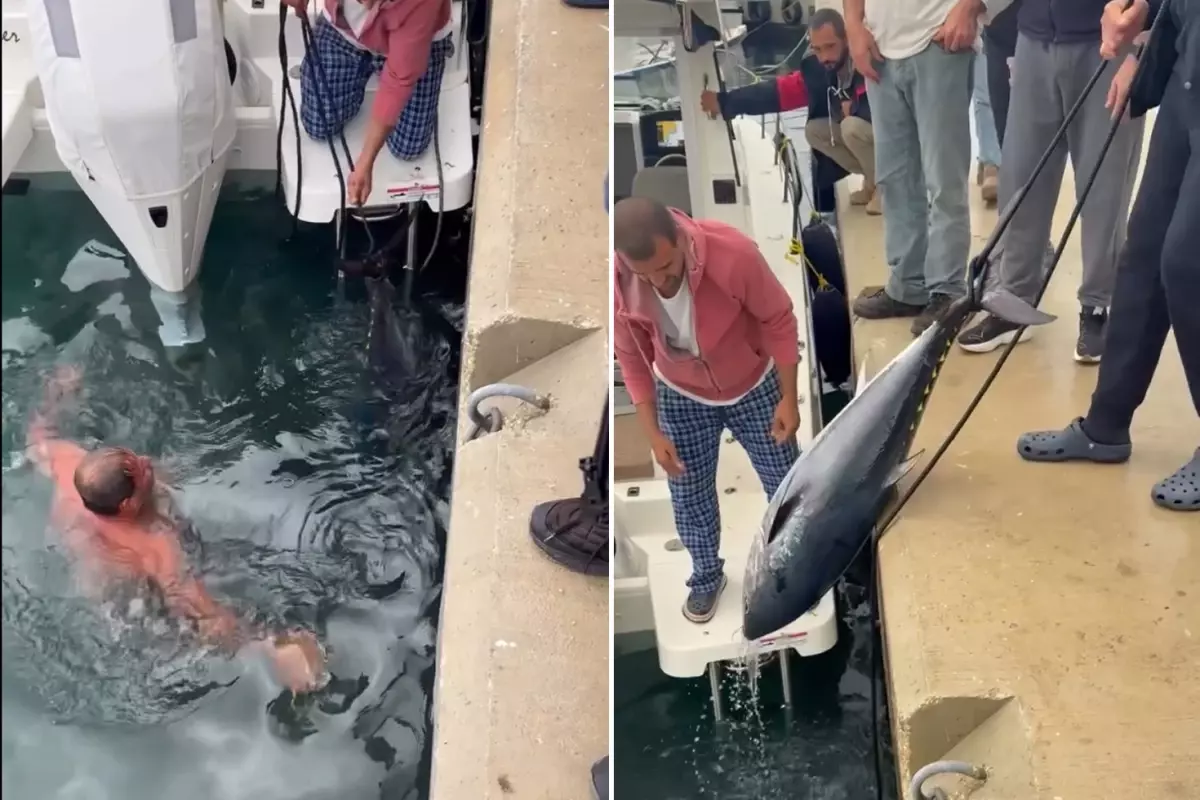 Soğuk engel olmadı, buz gibi suya girip 1.5 metrelik orkinos avladı