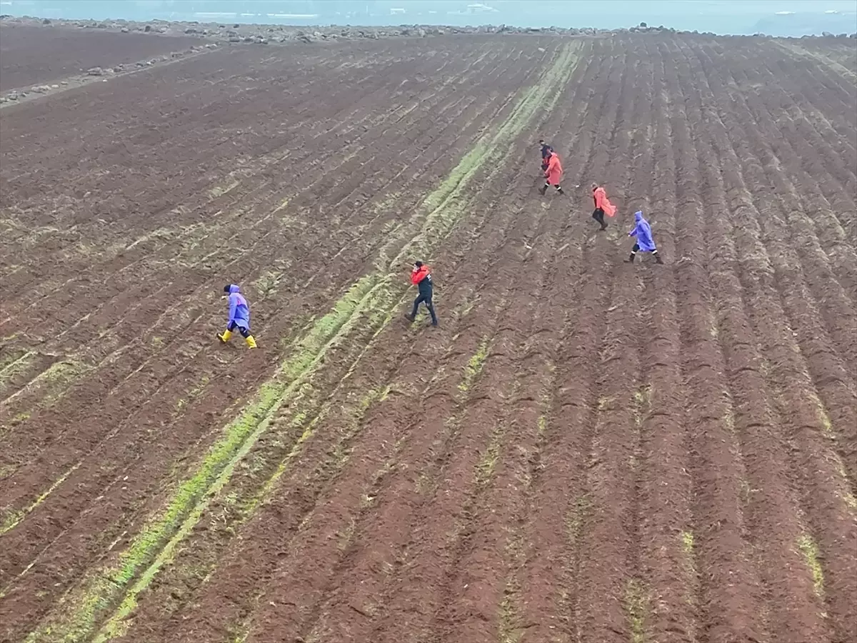 Diyarbakır'da kaybolan kadını arama çalışmaları 12'nci gününde sürüyor