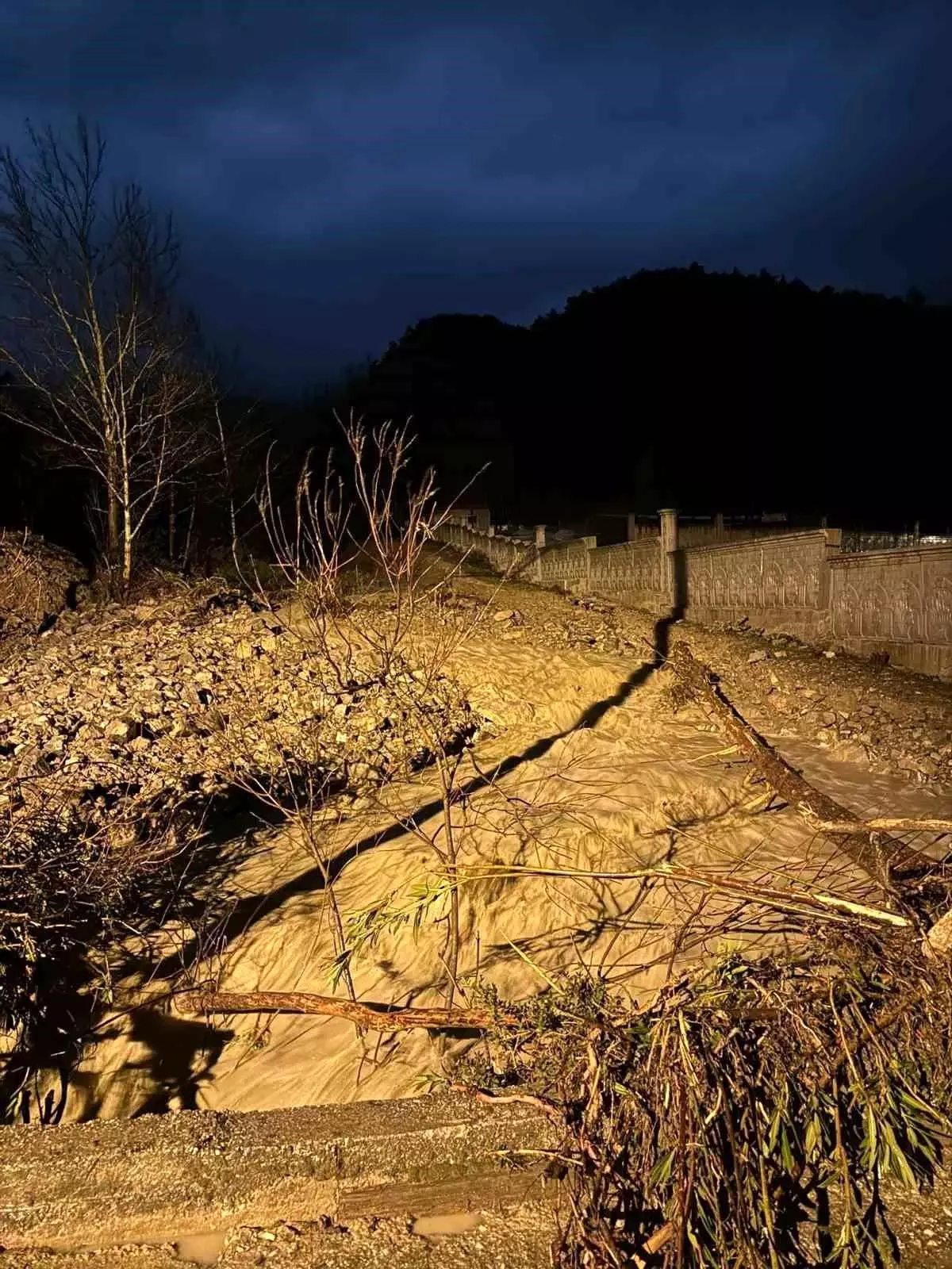 Isparta'da etkili olan sağanak yağmur nedeniyle bir köyde su baskınları yaşandı