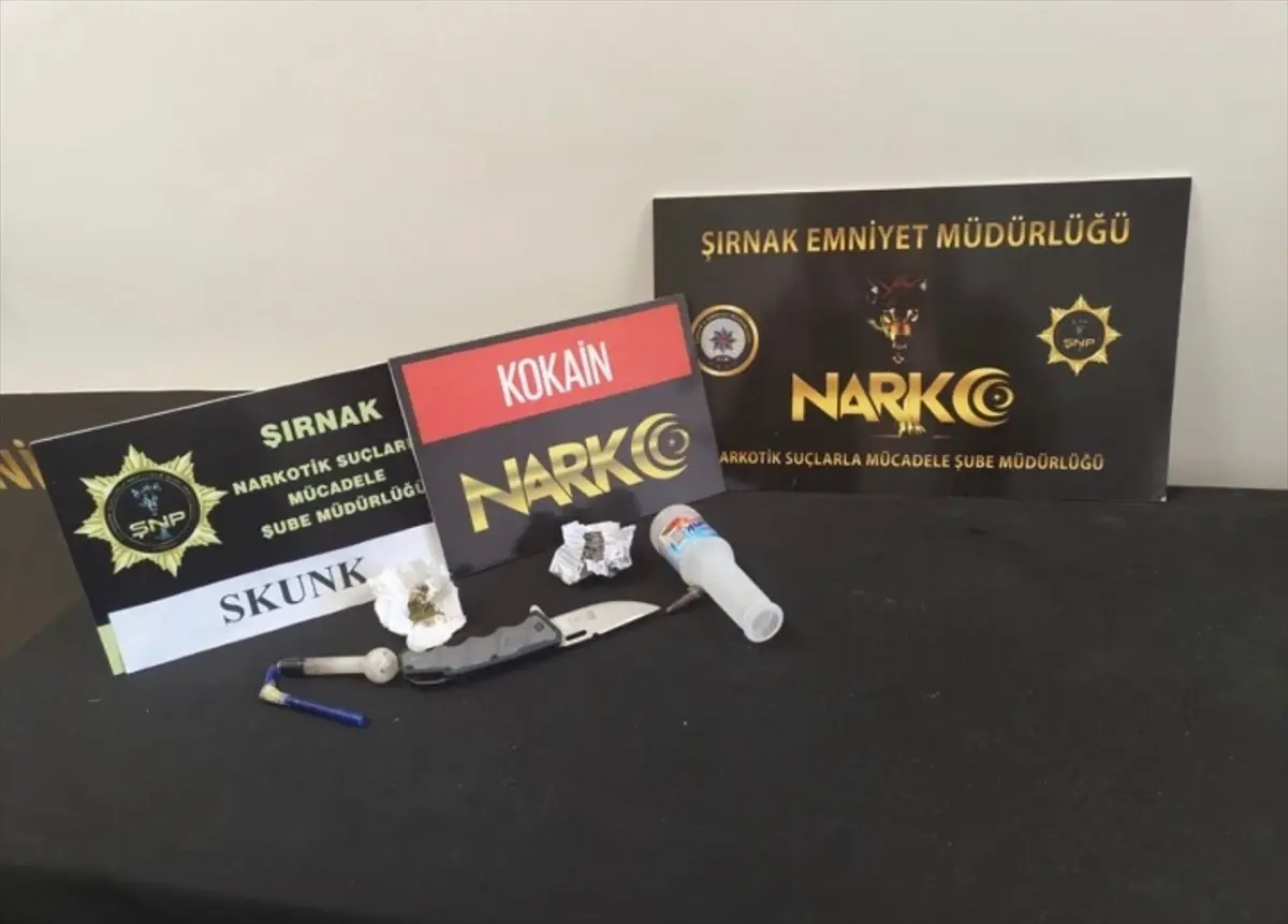 Şırnak'ta kaçakçılık operasyonlarında yakalanan 5 zanlı tutuklandı