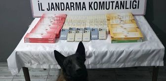 Şırnak'ta kaçakçılık ve asayiş operasyonlarında 103 şüpheli hakkında işlem yapıldı