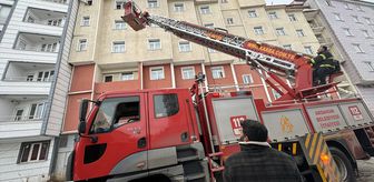 Ardahan'da çatıda mahsur kalan kediyi itfaiye ekipleri kurtardı