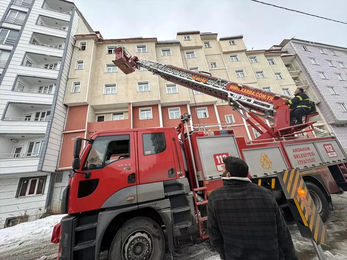 Ardahan'da çatıda mahsur kalan kediyi itfaiye ekipleri kurtardı