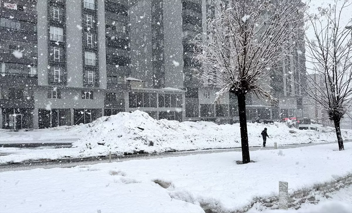 Bitlis'te kar etkili oldu