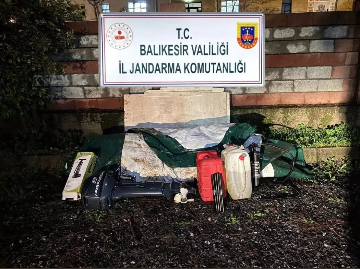 Düzensiz göçmenler zeytinlik alanda yakalandı