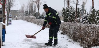 Erzurum, Ardahan ve Kars'ta kar etkili oldu