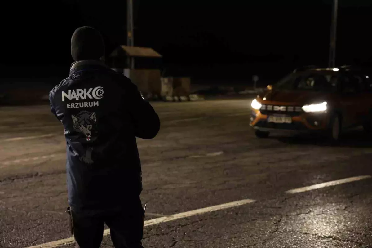 Erzurum'da bir ayda 48 milyon TL değerinde uyuşturucu ele geçirildi