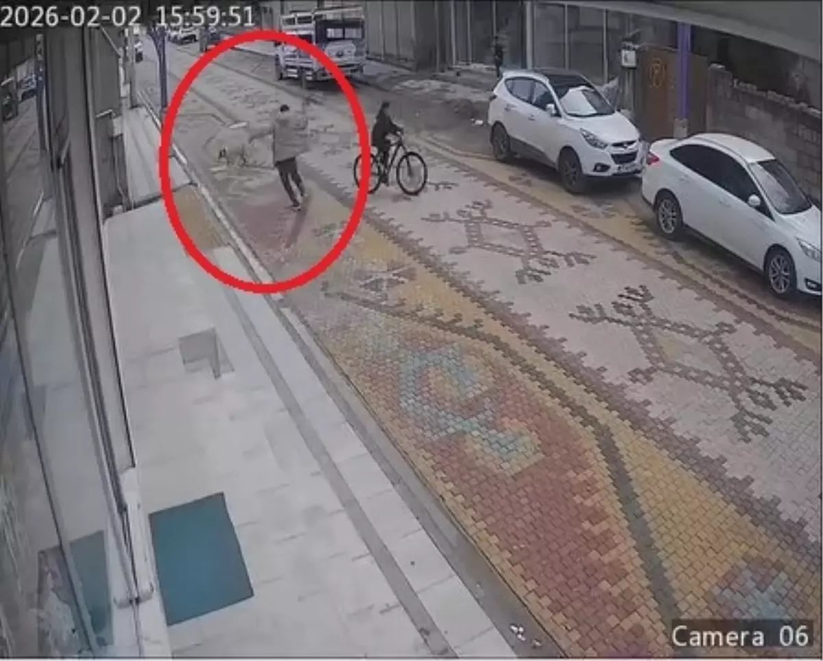 Mardin'de sokak köpeğinin saldırısına uğrayan çocuğu esnaf kurtardı