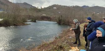 Giresun'da su kuşları için doğaya yem bırakıldı