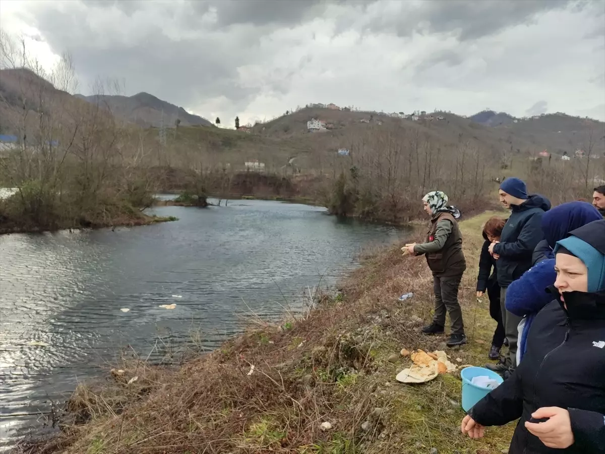 Giresun'da su kuşları için doğaya yem bırakıldı