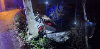Hatay'da ağaca çarpan otomobilin sürücüsü yaralandı