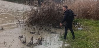 Hatay'da nehre düştüğü iddia edilen kişiyi arama çalışmaları sürüyor