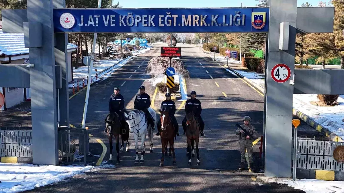 JAKEM'de atlar eğitimde