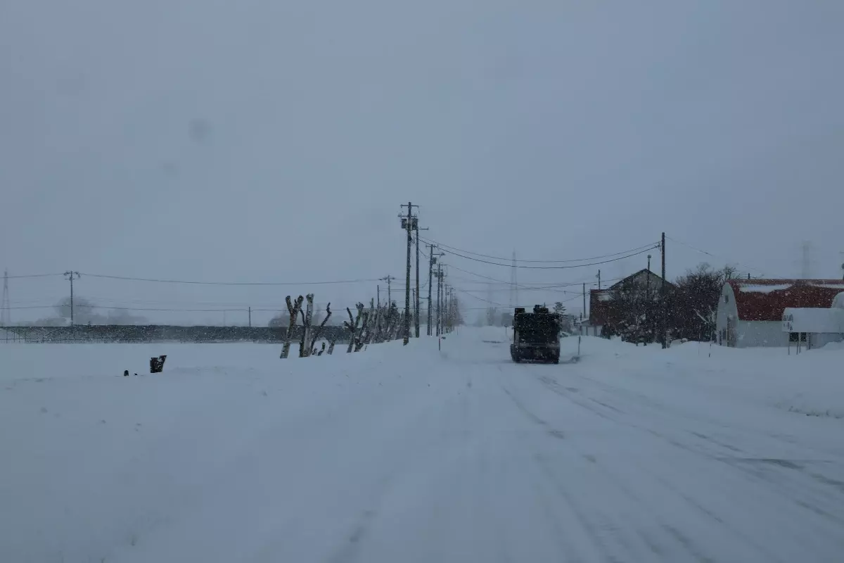 Japonya'da yoğun kar yağışı nedeniyle hayatını kaybedenlerin sayısı 30'a yükseldi