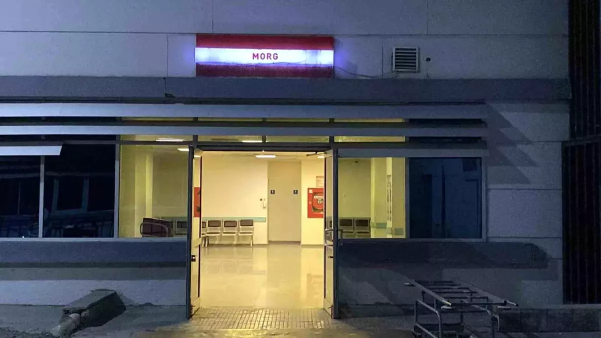 Kan donduran olayda yeni gelişme: Yaşlı adamın kesik başı ormanda bulundu