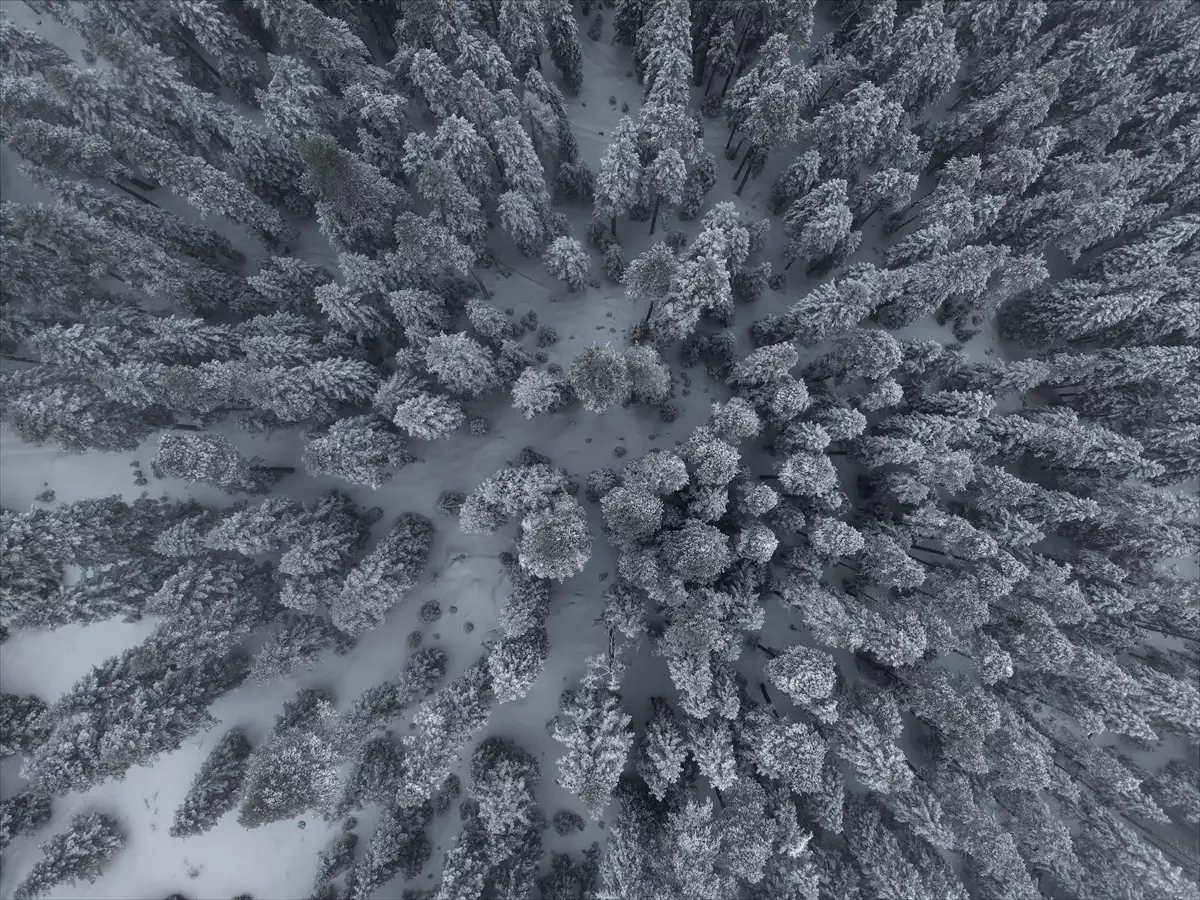 Kastamonu'nun yüksek kesimlerinde kar yağışı etkili oldu