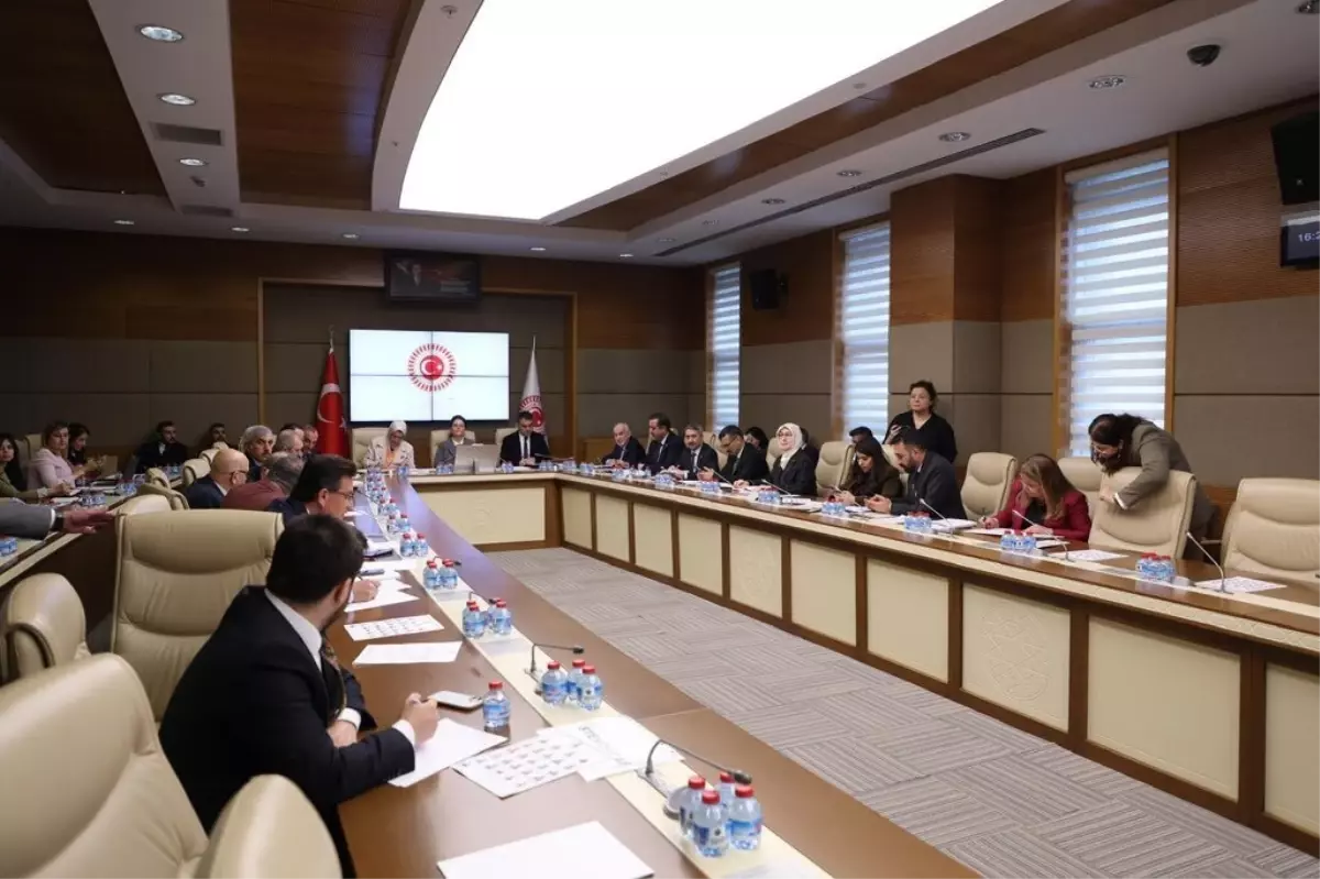 Komisyonda, 'Dijital Mecralarda Çocuklarımızı Bekleyen Tehdit ve Riskler Raporu' kabul edildi