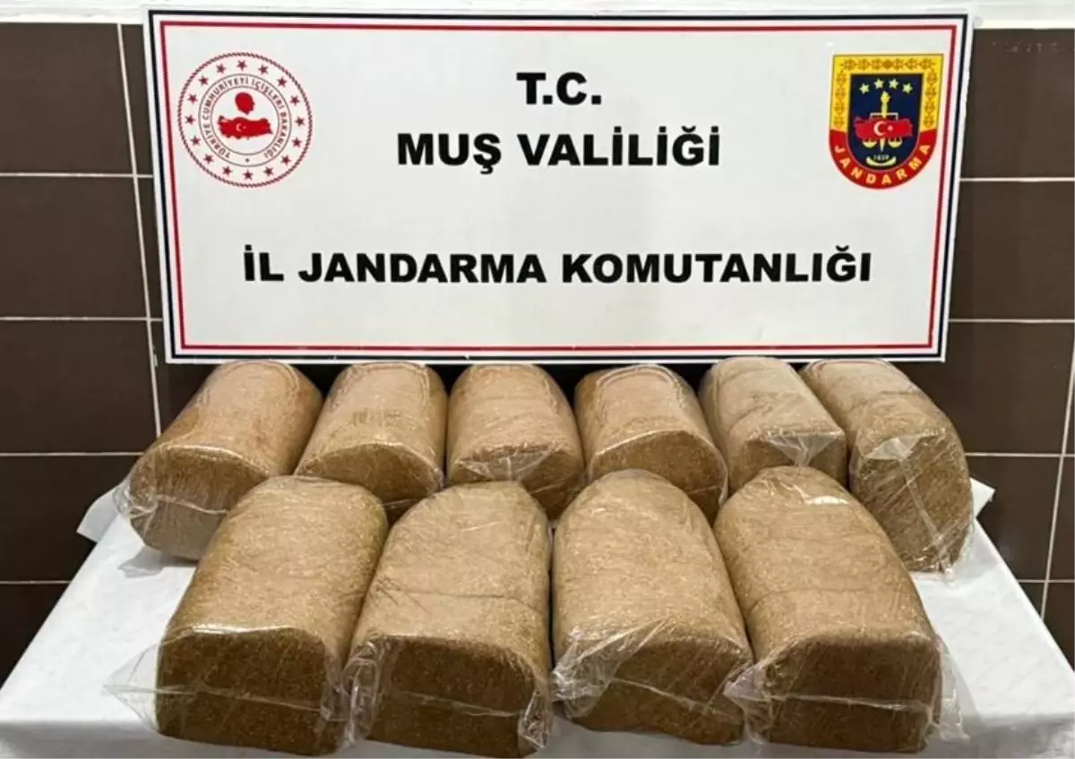 Muş'ta 50 kilo kaçak tütün ele geçirildi
