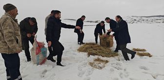 Muş'ta yaban hayvanları için doğaya yem bırakıldı