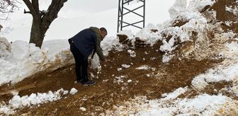 Sason'da yaban hayvanları için doğaya yem bırakıldı