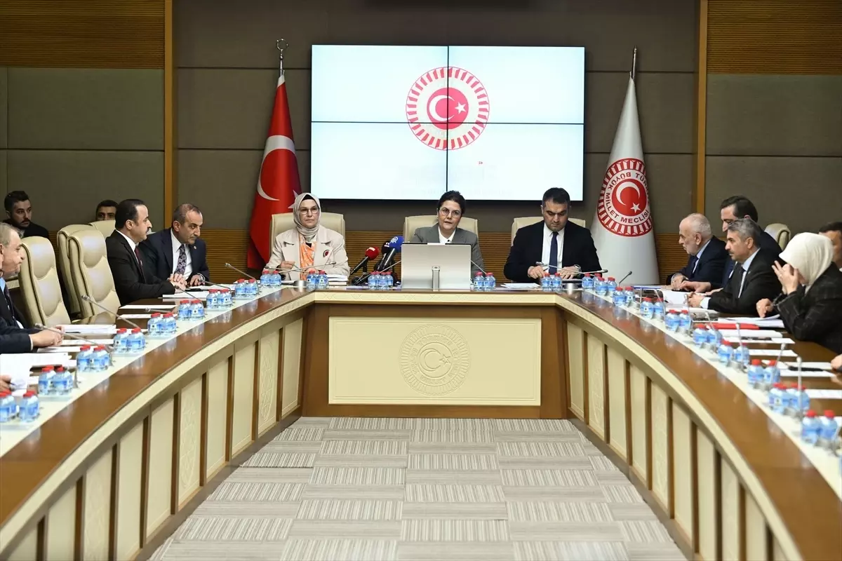 TBMM İnsan Haklarını İnceleme Komisyonu toplandı