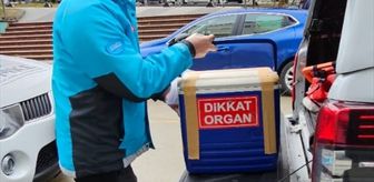 Trabzon'da beyin ölümü gerçekleşen kişinin organları 3 hastaya umut oldu
