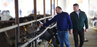 6 ŞUBAT DEPREMLERİNİN ÜÇÜNCÜ YILI - Hatay'da depremde hayvanlarını kaybeden besiciler, devlet desteğiyle yeniden ayağa kalktı