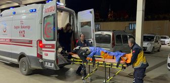 Adana'da iki otomobilin çarpıştığı kazada 2 kişi yaralandı