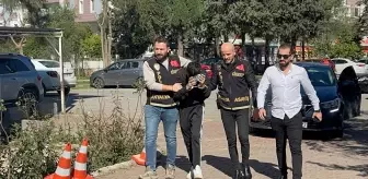 Antalya'da hamile eşini silahla yaralayan koca yakalandı