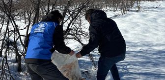 Bingöl'de yaban hayvanları için doğaya yem bırakıldı