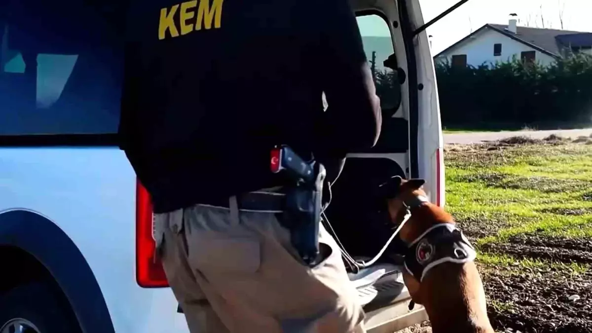 Bolu'da 11 farklı adrese uyuşturucu operasyonu