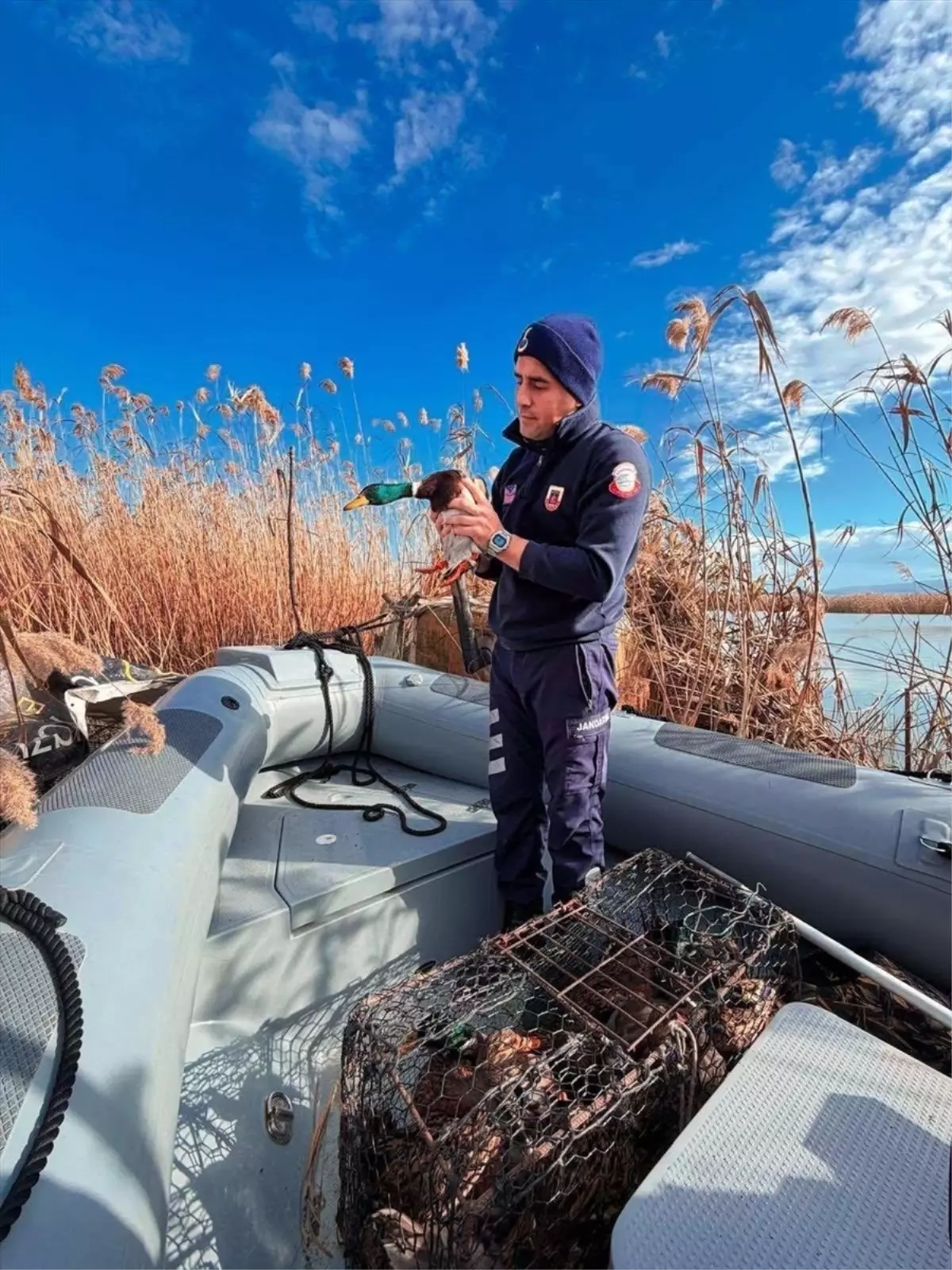 Bursa'da kaçak avcılara 431 bin 979 lira idari para cezası kesildi