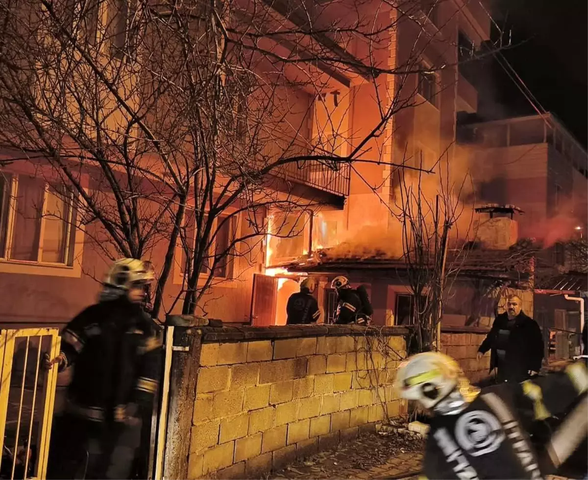 Denizli'de odunluk yangını korkuttu