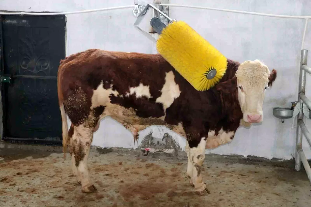 IPARD III ile Erzincan tarımına 178 milyon TL'lik yatırım desteği