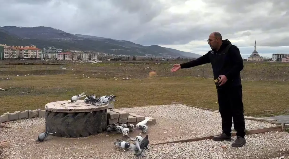 Kütahya'nın güvercin sevdalıları
