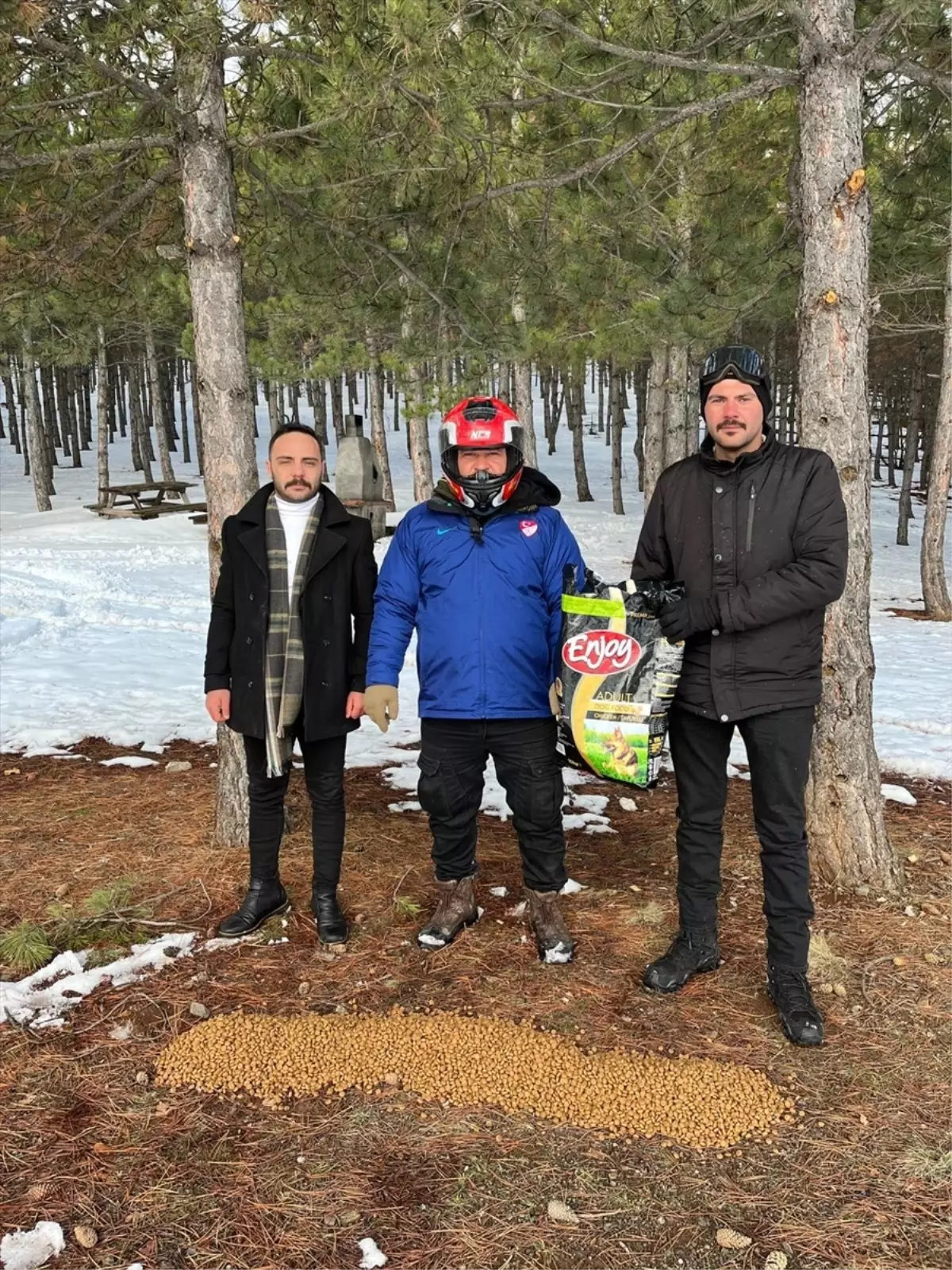 Suşehri'nde yaban hayvanları için doğaya yem bırakıldı
