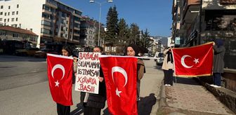 Tosya'da 'Bayrağını selamlamak istiyorsan kornaya bas' etkinliği düzenlendi