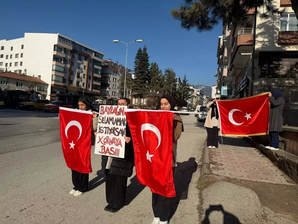 Tosya'da "Bayrağını selamlamak istiyorsan kornaya bas" etkinliği düzenlendi