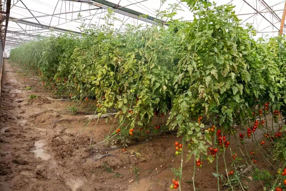 Aksu'da sağanak, sel, hortum ve doludan 23 mahalle, 500 çiftçi zarar gördü