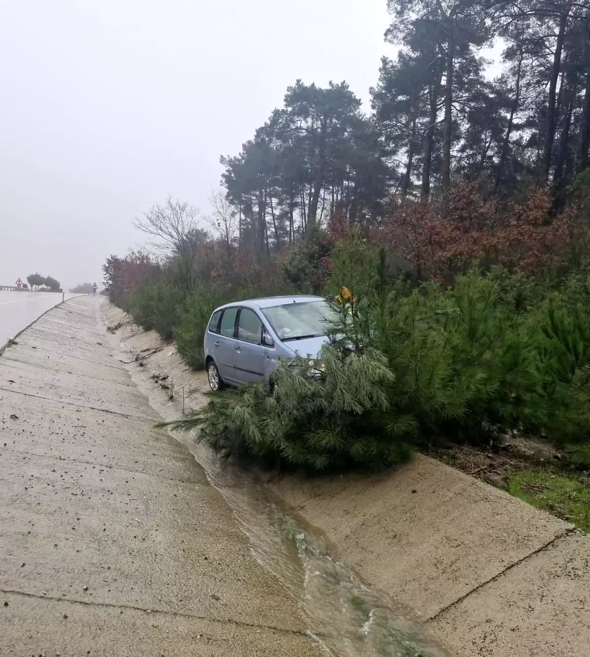 Çanakkale'de yoldan çıkan otomobil ağaca çarptı; 2 kişi yaralandı