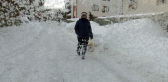 Erzurum, Ardahan, Tunceli ve Kars'ta dondurucu soğuklar etkili oluyor