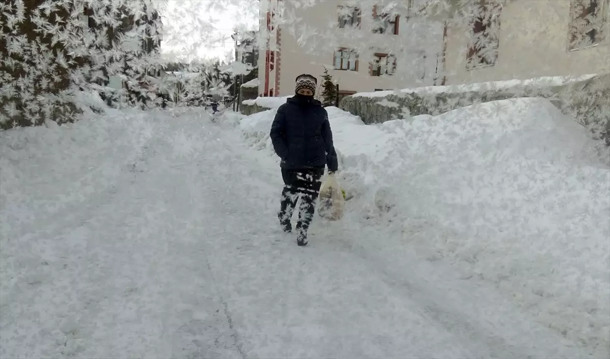 Erzurum, Ardahan, Tunceli ve Kars'ta dondurucu soğuklar etkili oluyor