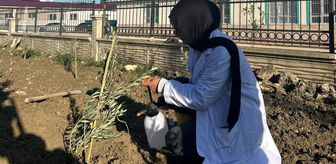 Hatay'da 6 Şubat depremlerinde hayatını kaybeden öğretmenler anısına fidan dikildi