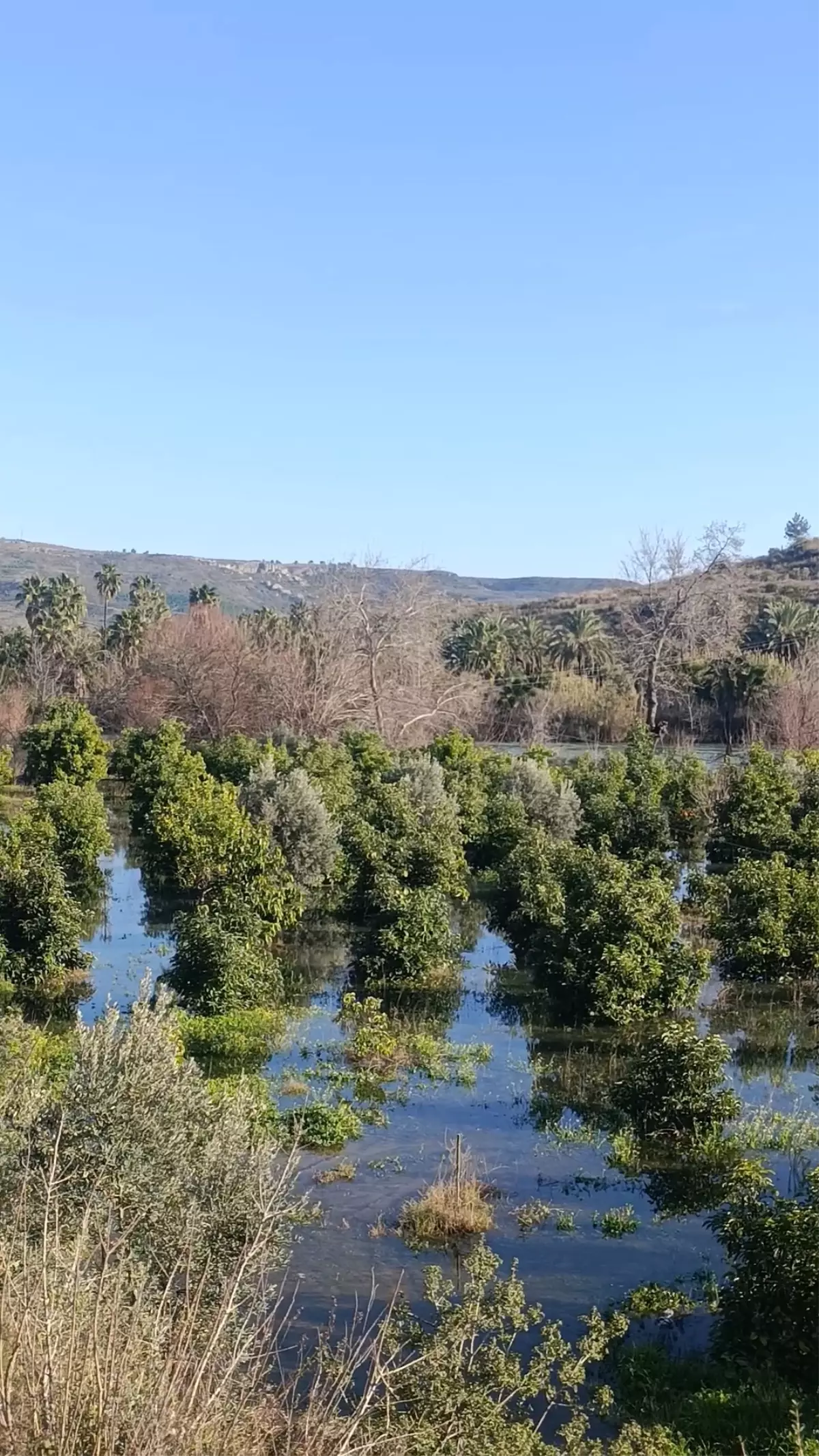 Irmak taştı, şantiye ile narenciye bahçelerini su bastı