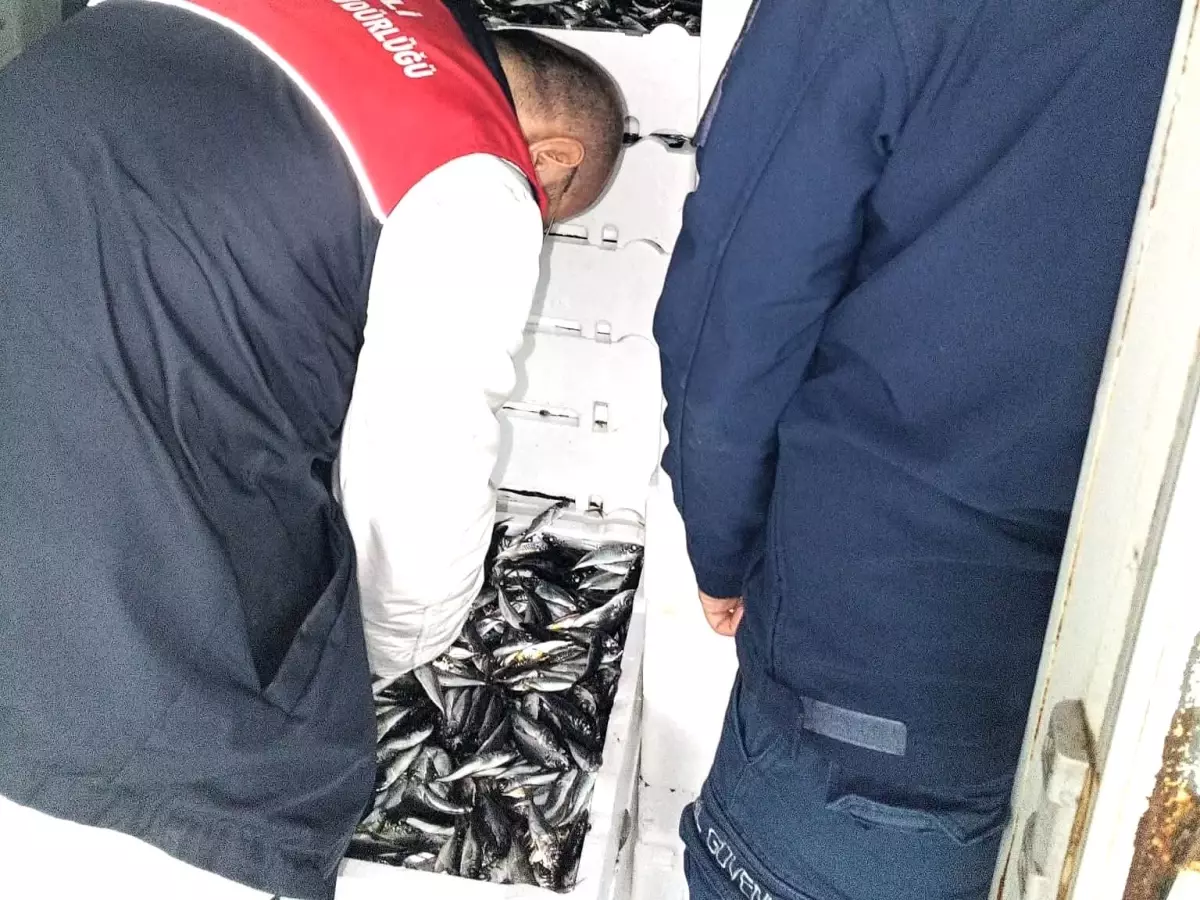 Kırklareli'nde su ürünleri denetiminde 110 koli istavrite cezai işlem