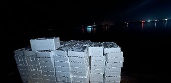 Kırklareli'nde yasal boy sınırı altında avlanan 1 ton 300 kilogram istavrite el konuldu