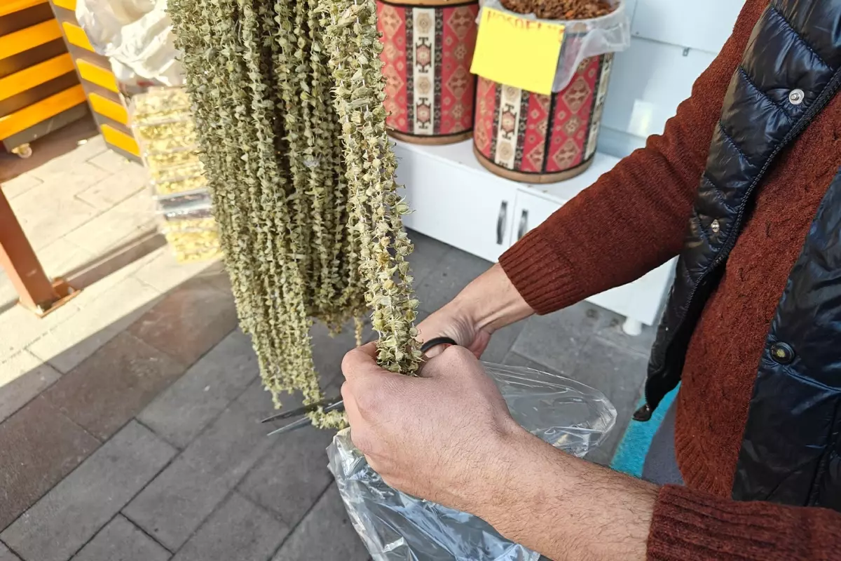 Ne pide ne de hurma! Ramazan'ın gözdesi tezgahlarda